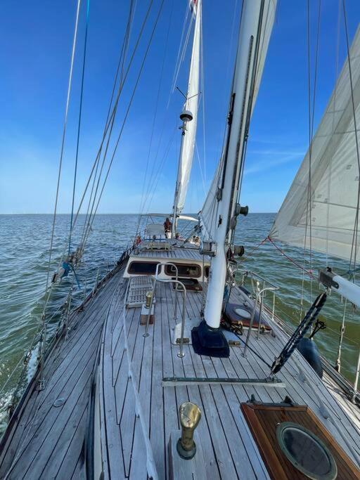 Classic Sailing Ship In Center Of Enkhuizen! 外观 照片